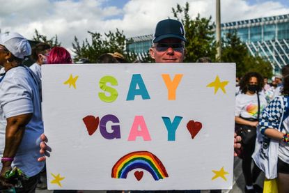 Protester holding a sign that reads &amp;quot;Say Gay&amp;quot;