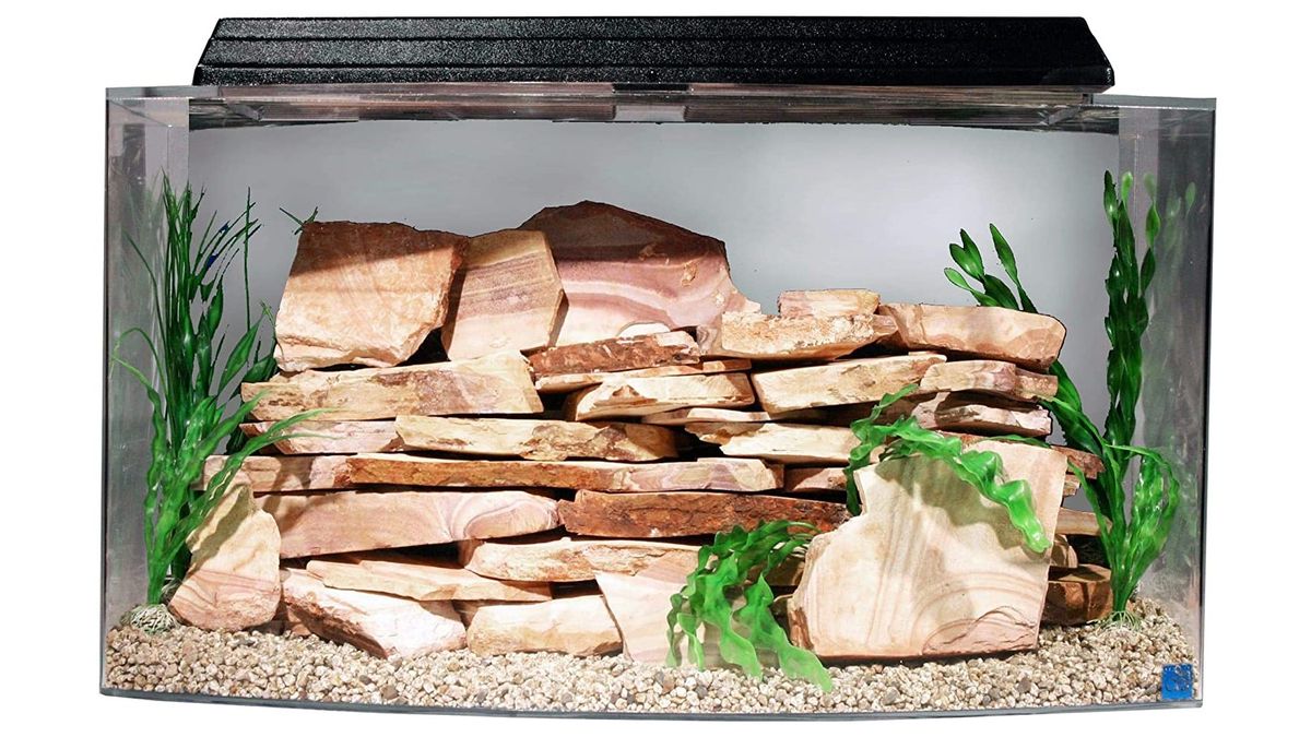 Best turtle aquariums 2023 Set up a perfect turtle tank PetsRadar