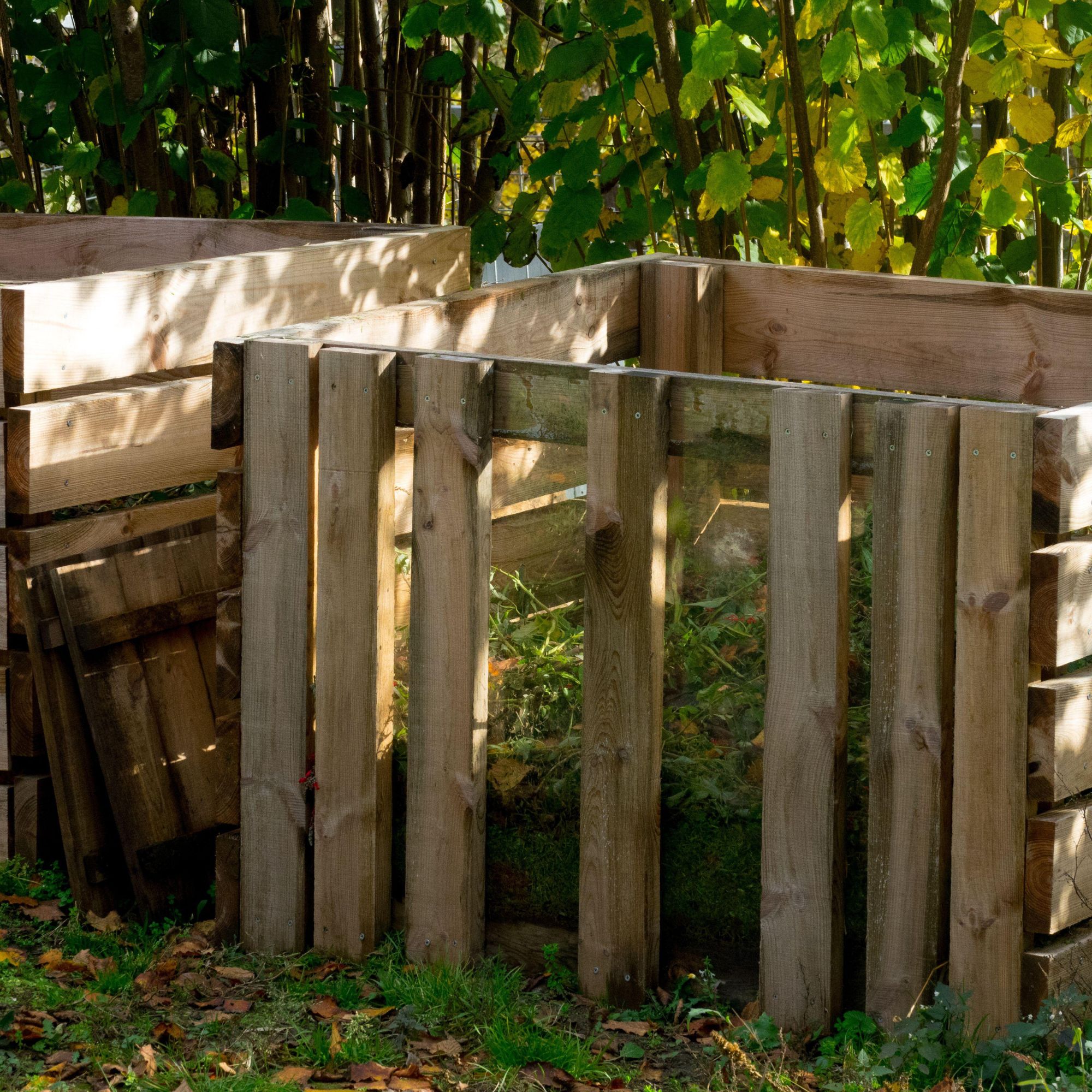 autumn garden with wooden compost bin