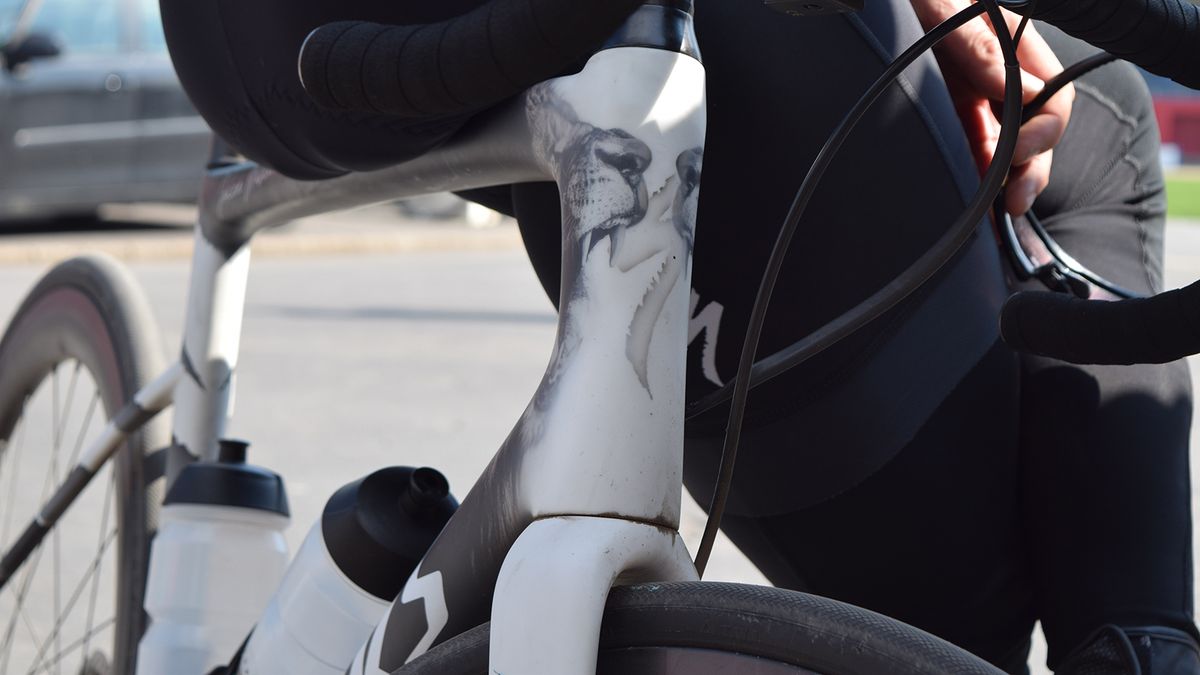 A faint S of Specialized sits on the head tube between the two roaring lions
