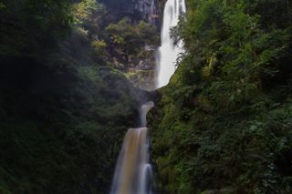 A waterfall surrounded by green foliage