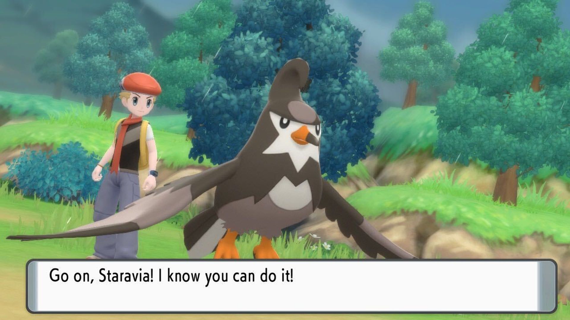 pokemon trading card game speedrun Pokemon Trading Card Game Speedrun!