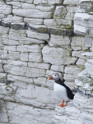 A day in the life of wildlife photographer Tesni Ward, image 11