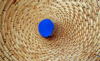 A spiralling structure with wood interior and a major blue blotch in the centre.