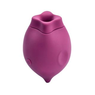 Smilemakers The Poet vibrator