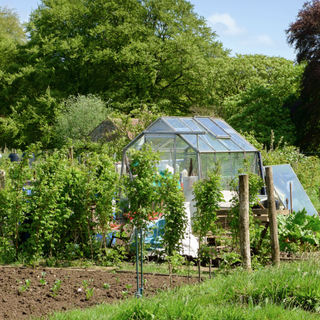 Allotments in England, UK with greenhouse, allotment and gardening plots for growing vegetables