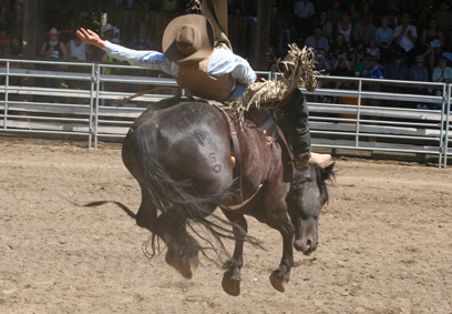 rodeo.jpg