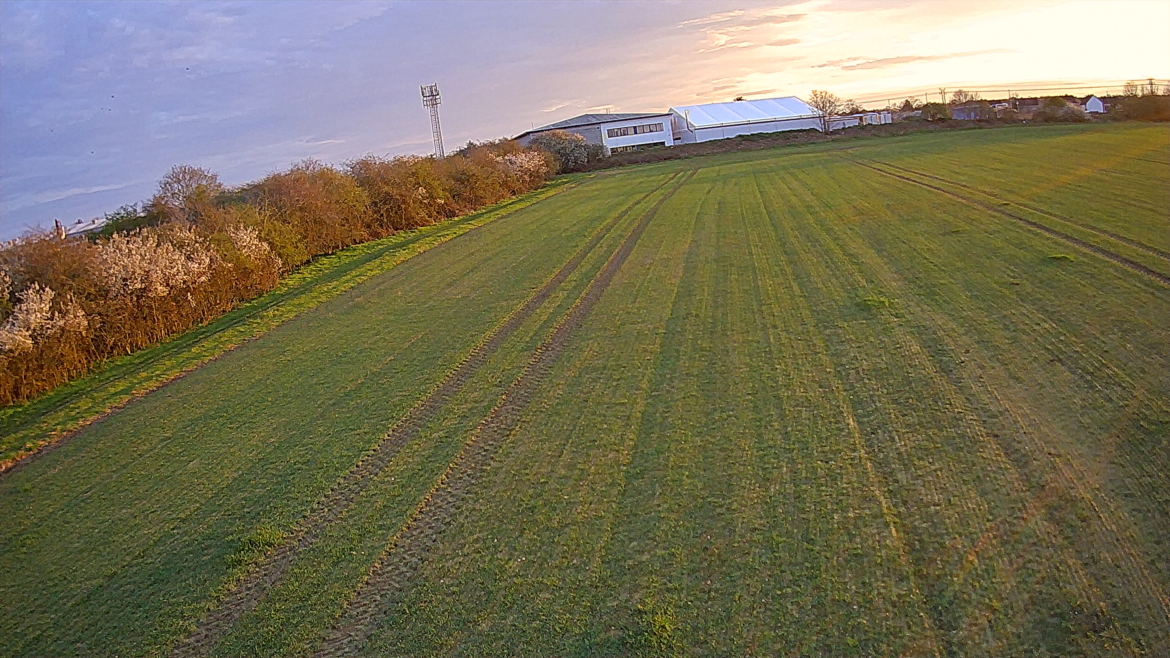 Photo of a field at sunset taken with the Holy Stone HS360S