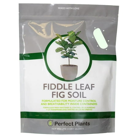 Fiddle Leaf Fig Soil by Perfect Plants - 8 Quart