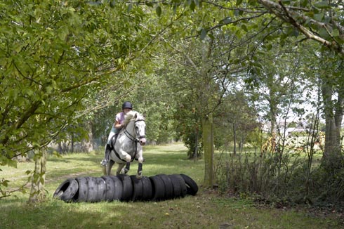 riding-holiday-tyres.jpg