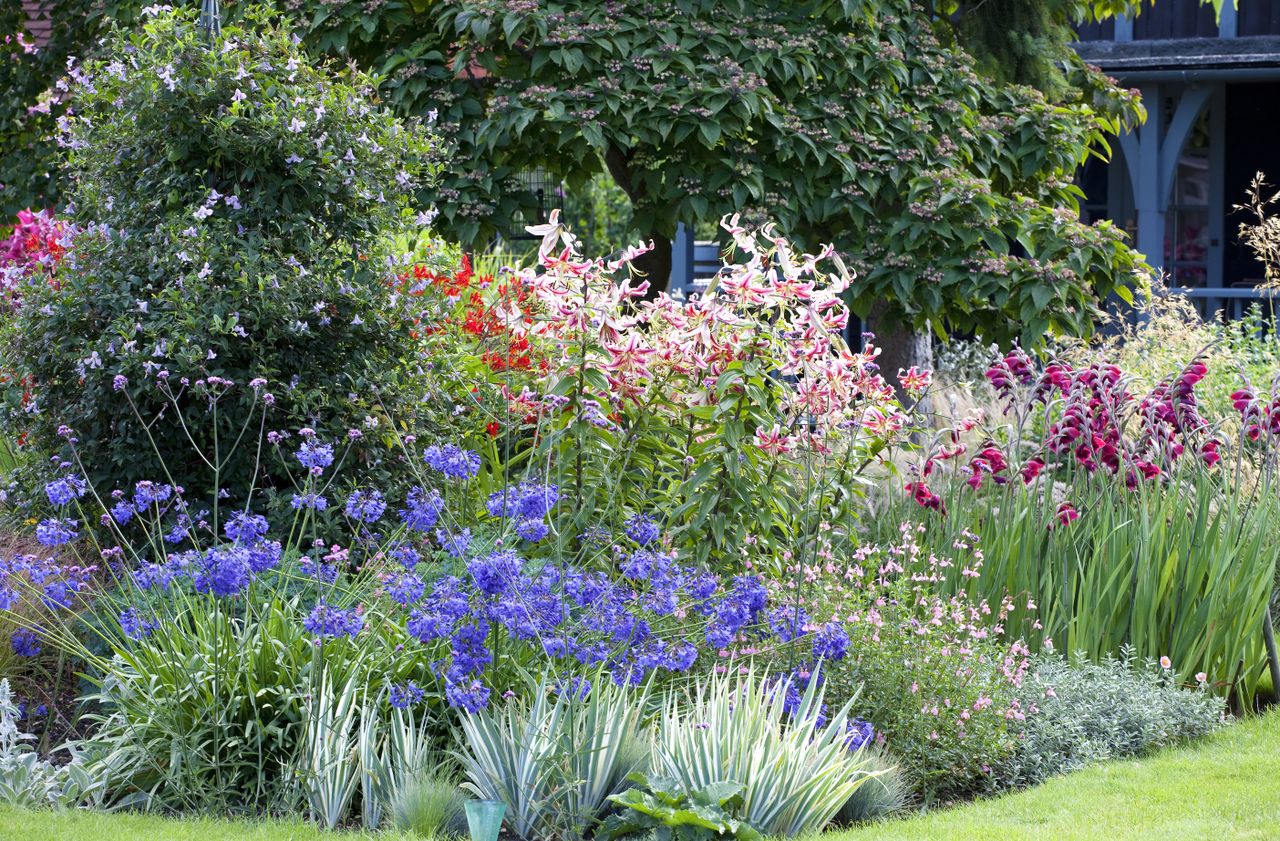 Garden borders