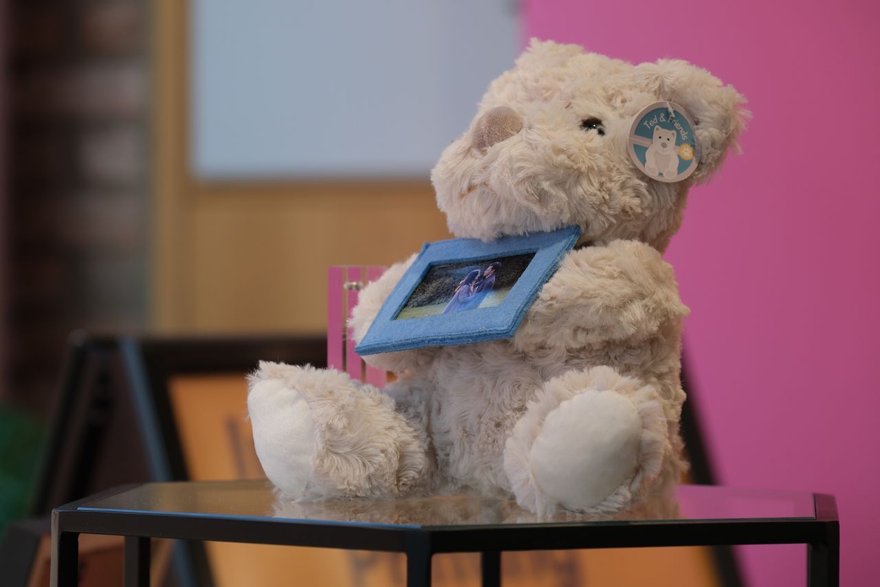 A teddy bear in a shop window
