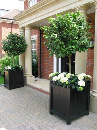 large planters on a driveway either side of a front door