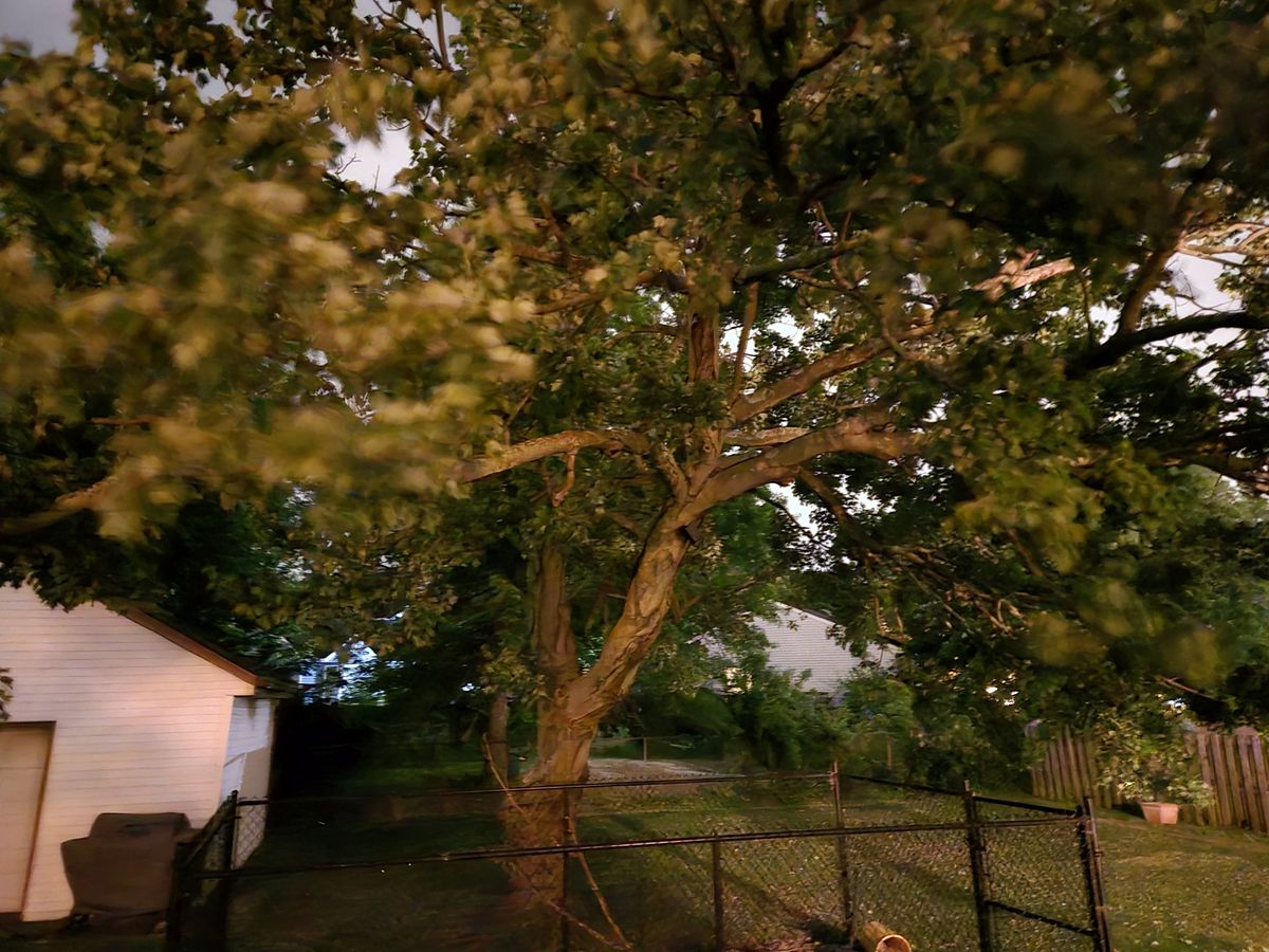 Samsung Galaxy S24 Plus low light sample.