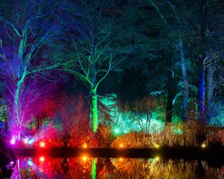 Glow illuminations at RHS Garden Wisley. December 2020.