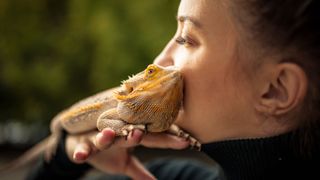 Bearded dragon being kissed by woman