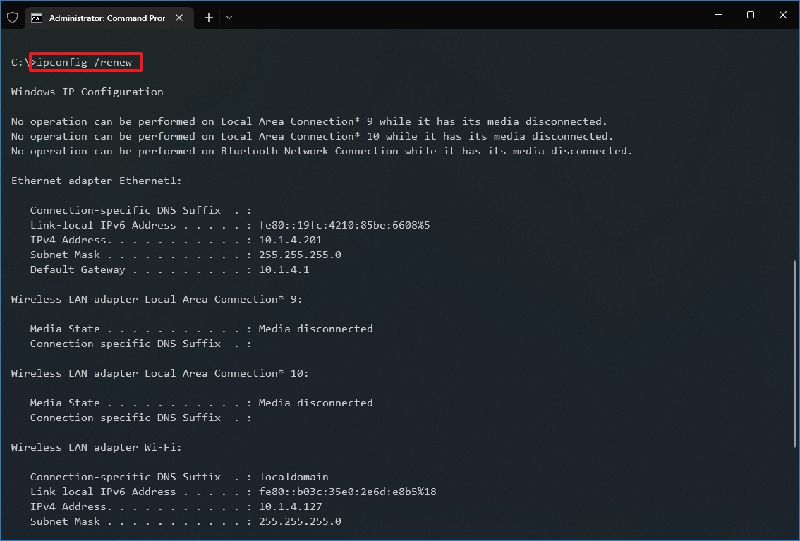 ipconfig renew command