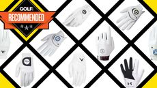 Best Golf Gloves