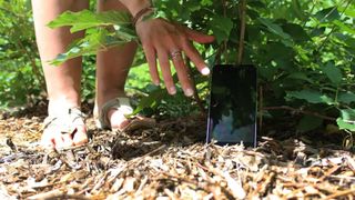 Android phone under bush