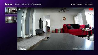 Roku Indoor Camera SE screenshot sample