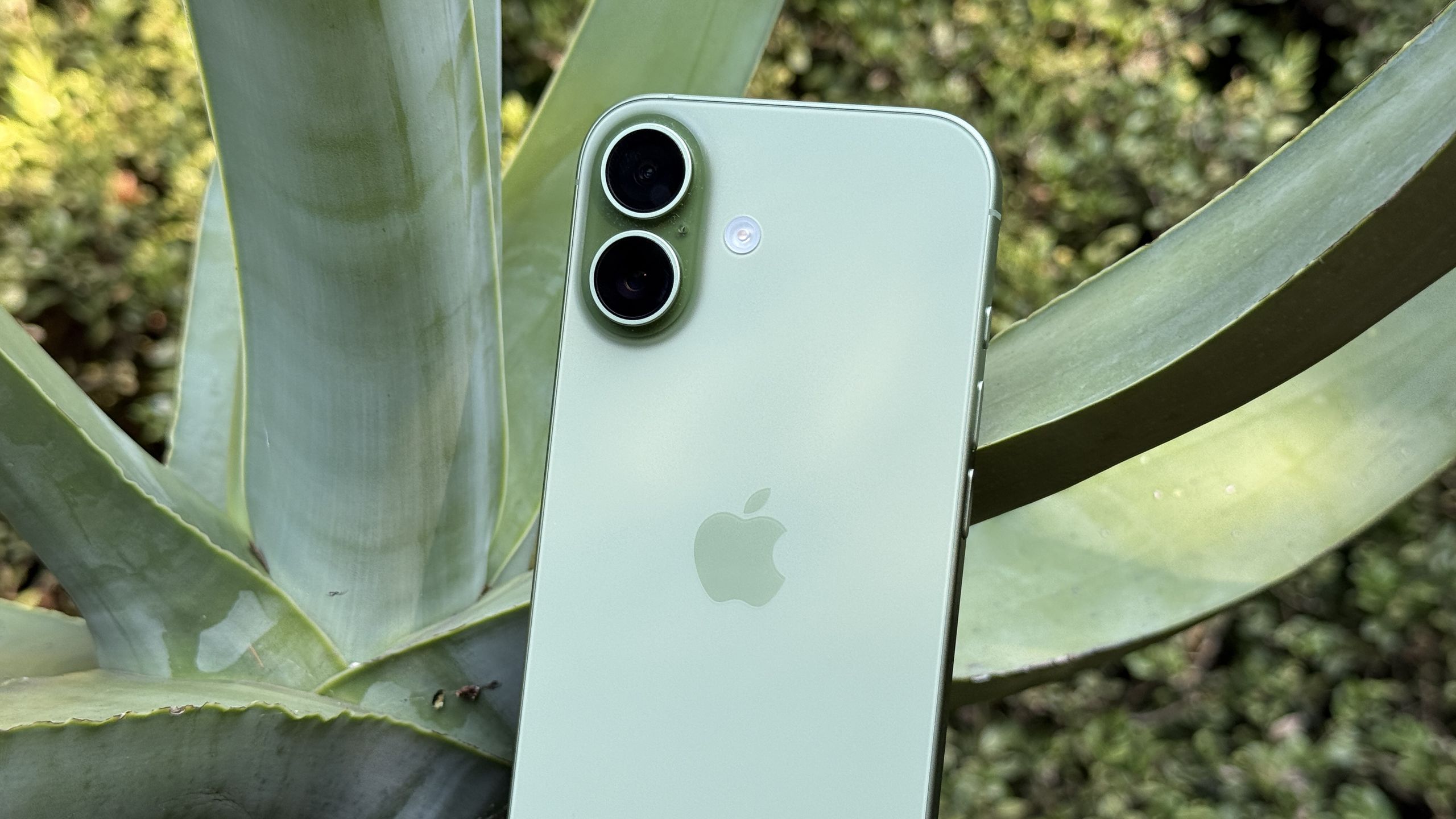 Kesepakatan Black Friday iPhone 17 Verizon memberi Anda ponsel, iPad, dan Apple Watch gratis – tetapi bacalah rinciannya dengan cermat