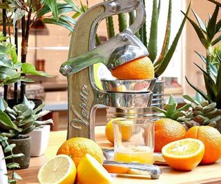 Verve Culture Citrus Juicer on a kitchen counter.
