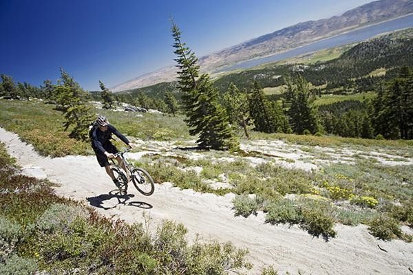 Quit joking around and take in the sights!