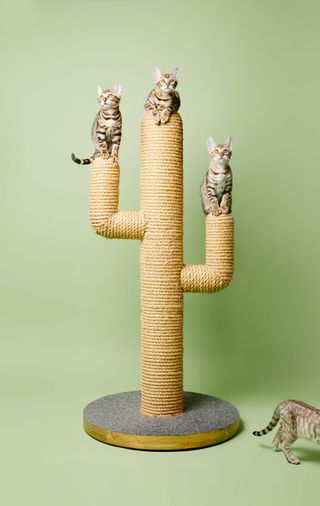 Three cats sitting on a cactus shaped cat tree.
