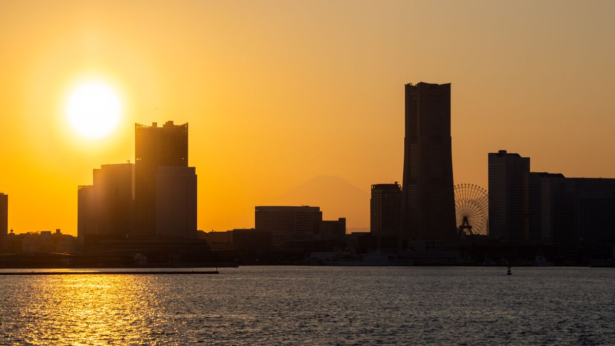 Test shot taken with Sigma 16-300mm f/3.5-7.1 | C in Tokyo Japan