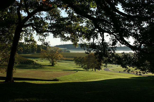 Trump vineyards, jefford