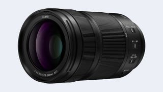 Panasonic LUMIX S 70-300mm F4.5-5.6 MACRO O.I.S.