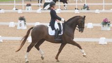 Charlotte dujardin on Imhotep Winter Dressage Championships timetable