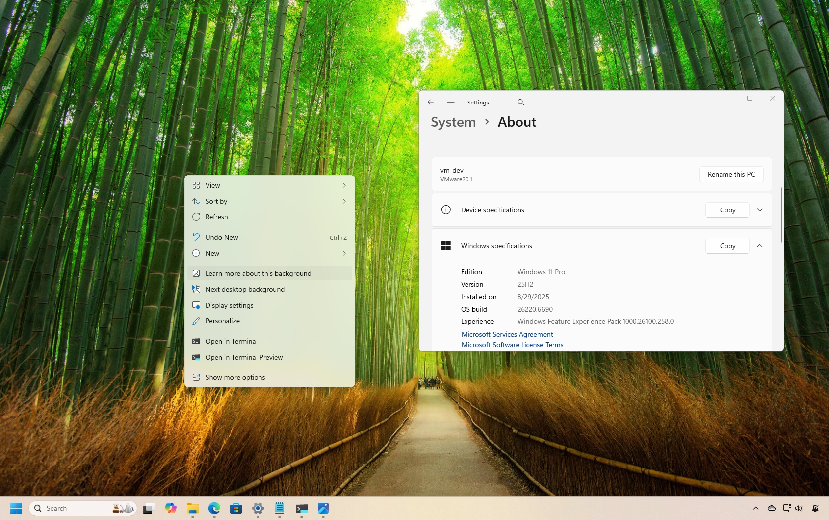 Windows 11 Insider features for September