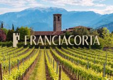 Franciacorta-platinum-ad-thumbnail-1-300x214