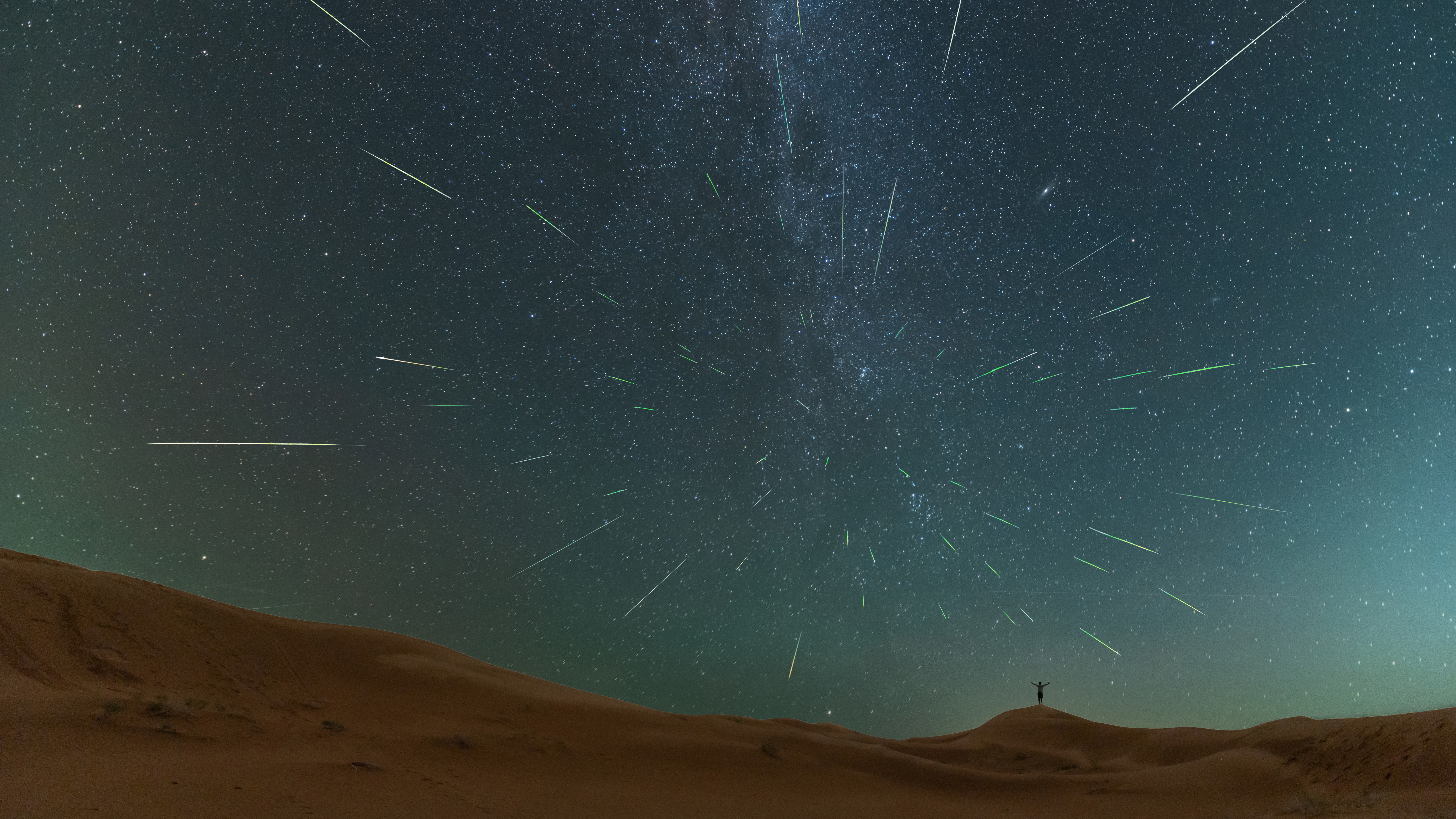 Perseid meteors are photographed heading towards a person standing in a desert at night through a starry sky.