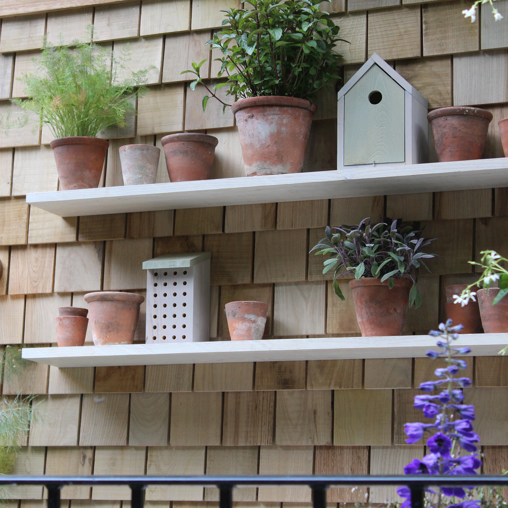 Shelves with terracotta pots