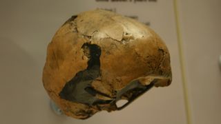 The skull of a Neanderthal child.