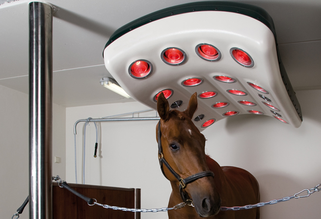 Kylix solarium