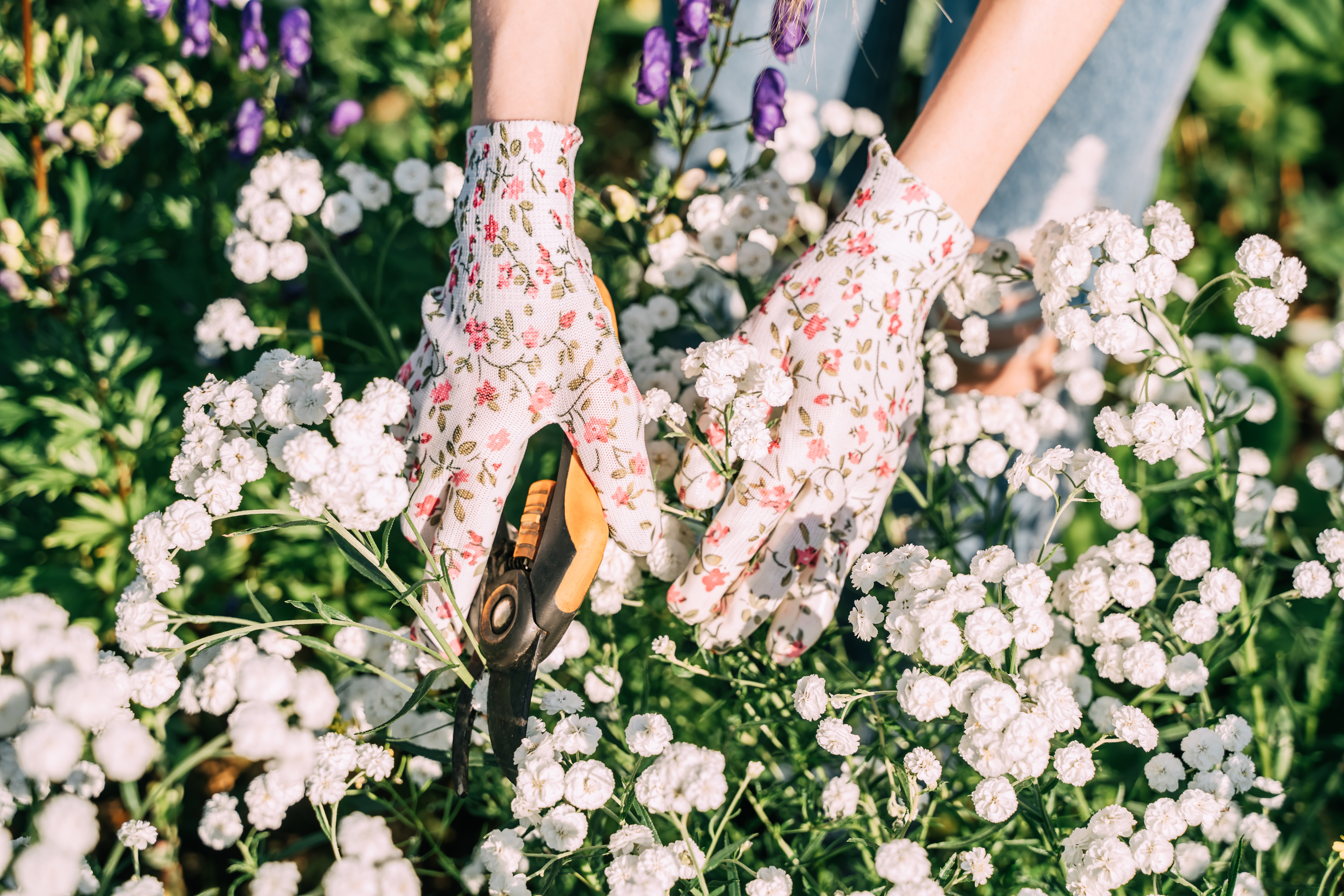 Woman in floral gardening gloves holding a pair of cutting shears