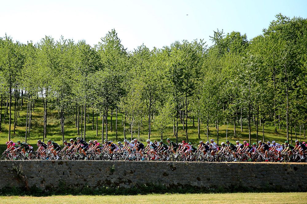 The peloton rolls through the French countryside.
