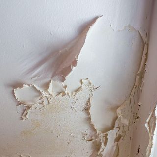 white peeling paint from a wall