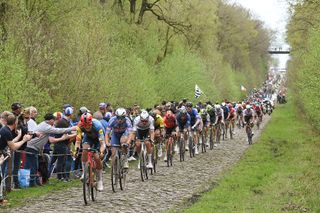 ROUBAIX FRANCE APRIL 07 LThe men's peloton speeds over the brutal cobbles of the ArenbergR Mads Pedersen of Denmark and Team Lidl Trek Jasper Philipsen of Belgium and Mathieu van der Poel of The Netherlands and Team Alpecin Deceuninck lead the peloton passing through the Forest Troue dArenberg cobblestones sector while fans cheer during the 121st ParisRoubaix 2024 a 2597km one day race from Compiegne to Roubaix UCIWT on April 07 2024 in Roubaix France Photo by Dario BelingheriGetty Images