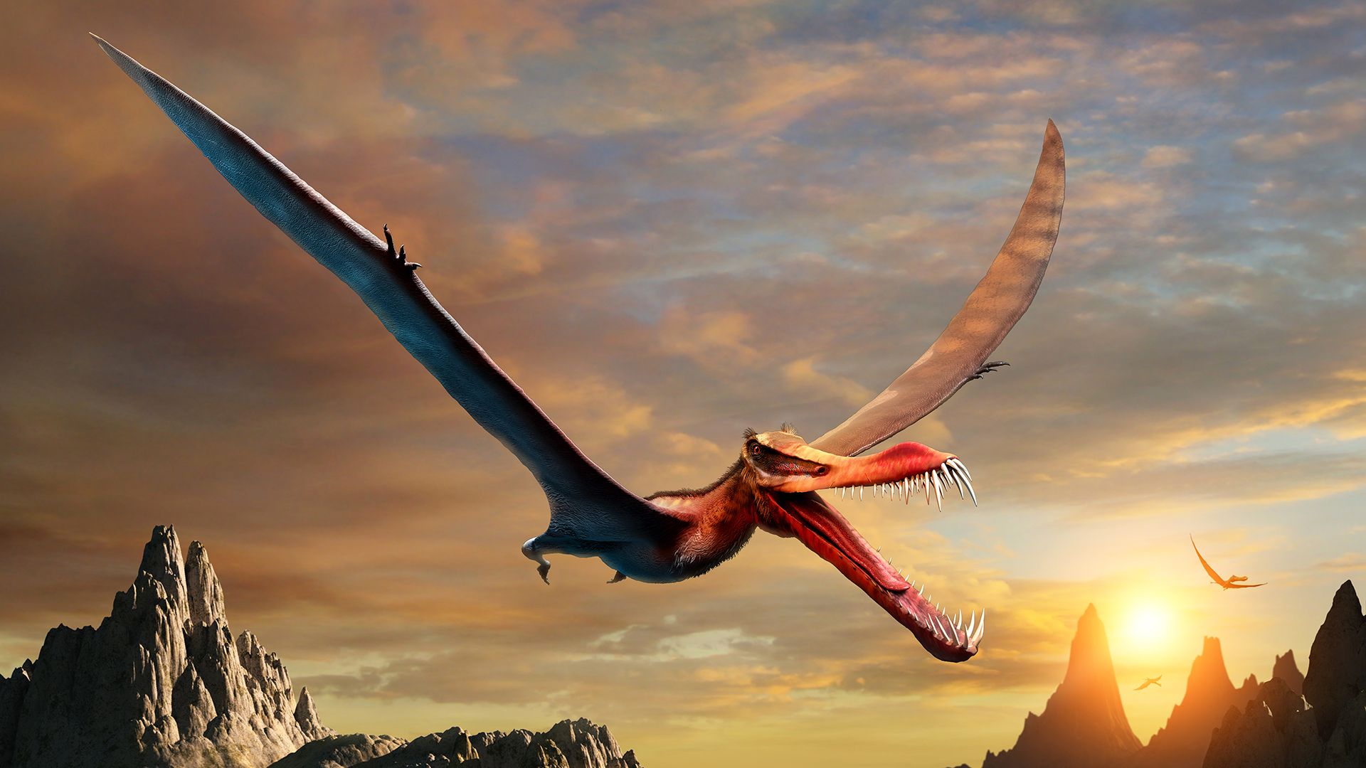 'Real-life dragon' dominated Australian skies 110 million years ago ...