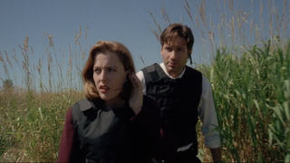 Gillian Anderson and David Duchovny in the "Home" episode of The X-Files