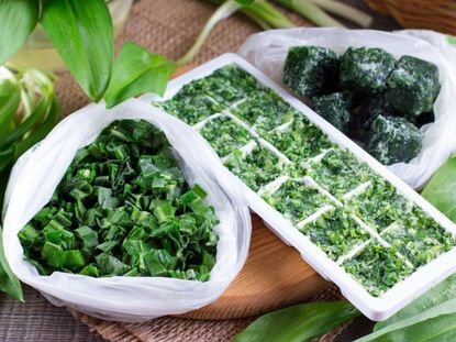 Bag Of Herbs Next To An Ice Tray Full Of Herbs