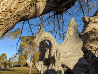 Dragon in tree