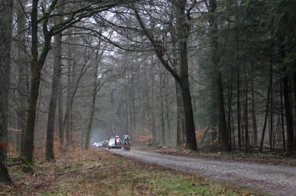 Cold and damp in the cobbled woods