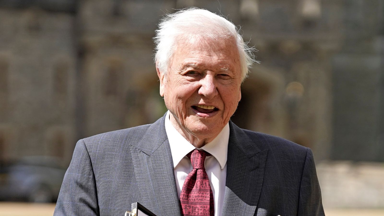 71 Years Later, Sir David Attenborough's No-Fuss Living Room Bookshelf Styling Still Teaches The Beauty of Restraint in Design