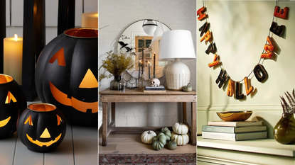 How to Store Decorations for Halloween - Organized 31