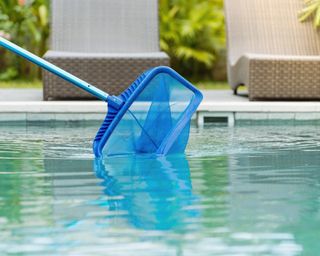 Cleaning swimming pool of fallen leaves with skimmer net equipment
